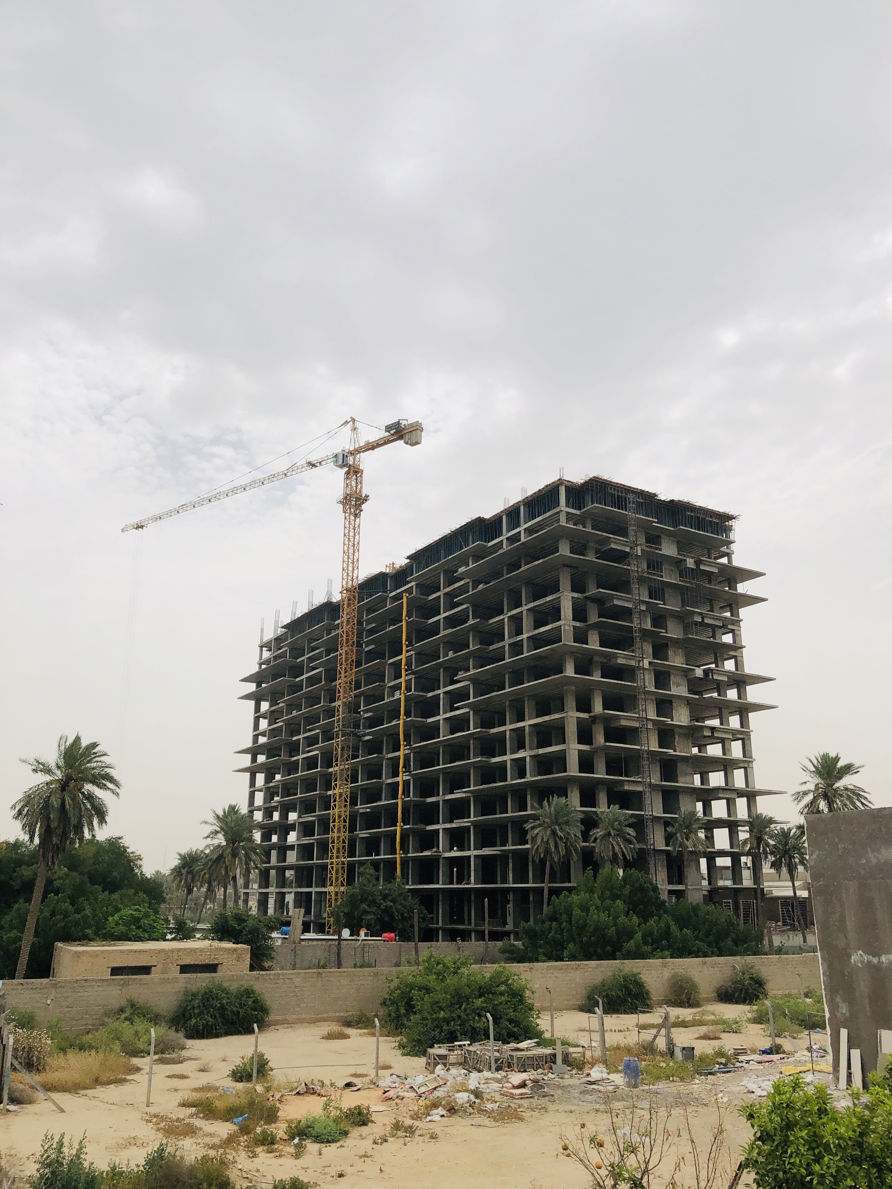 صورة المنشور
